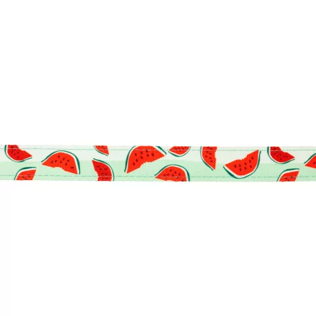 Obojek pro psy Max&Molly Watermelon