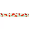 Obojek pro psy Max&Molly Watermelon
