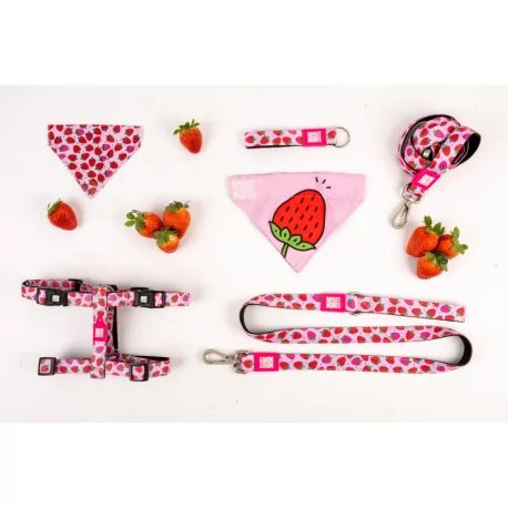 Obojek pro psy Max&Molly Strawberry