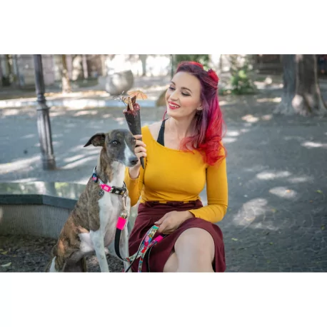 Obojek pro psy Max&Molly Missy Pop