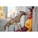 Obojek pro psy Max&Molly Missy Pop
