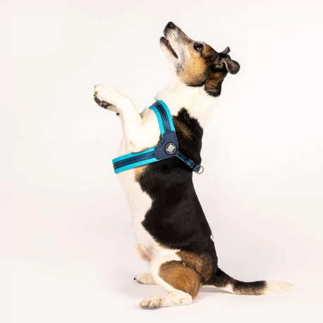 Postroj pro psy Q-Fit Blue, modrý
