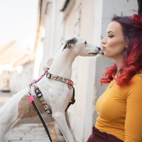 Postroj pro psy Max&Molly Missy Pop