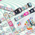 Postroj pro psy Max&Molly Magic Zebra