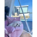 Pelíšek do auta pro psy COMFY 3in1 Baby Pink