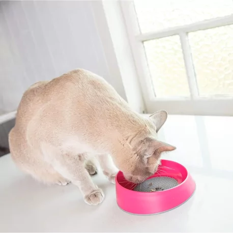 Miska pro kočky OH BOWL 250ml růžová