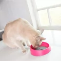 Miska pro kočky OH BOWL 250ml růžová