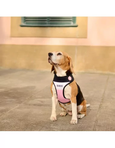 Postroj oboustranný pro psy DASHI Pink & Black