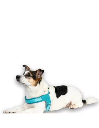 Postroj pro psy Max&Molly Matrix tyrkysový