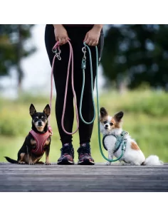 Přepínací vodítko Max&Molly Matrix, různé barvy 2