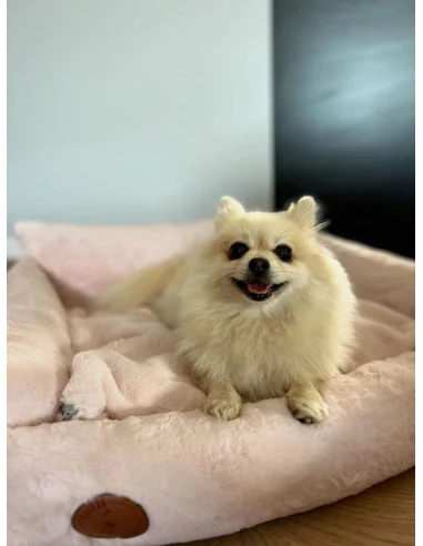 Pelíšek pro psy Lauren design FLUFFY sv.růžový