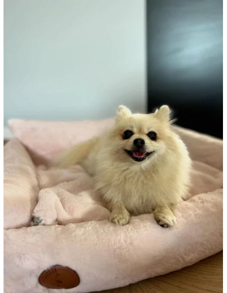 Pelíšek pro psy Lauren design FLUFFY sv.růžový