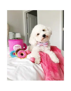 Plyšová hračka ZippyPaws donuty 2
