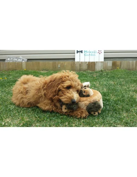 Plyšová hračka ZippyPaws ježci