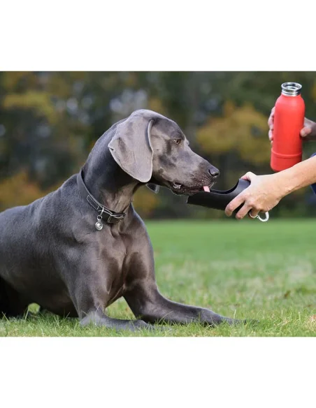 Cestovní termo láhev na vodu pro psy KONG H2O 740ml