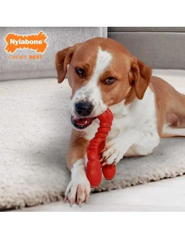 Dentální hračka humr NYLABONE hovězí vůní