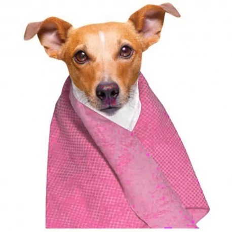 Chladící ručník pro psy DOOGY 66x43cm růžový