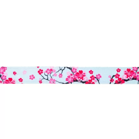 Obojek pro psy Max&Molly Cherry Bloom